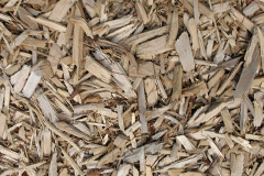 biomass boilers Perrywood